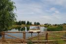 Imagen galeria 4